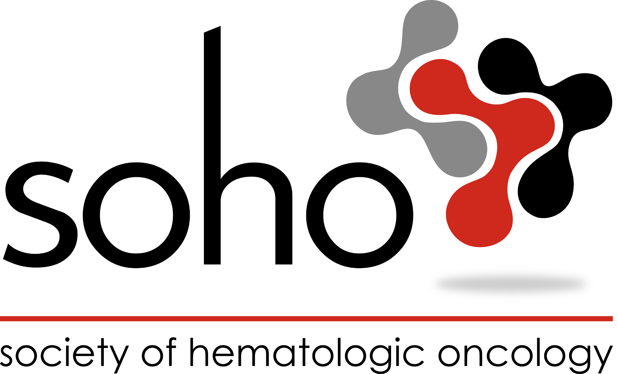 Society of Hematologic Oncology